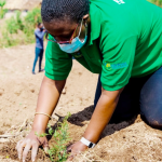 ルワンダ、林業回復を目指し320億ドル規模のプロジェクト始動へ！【Pick-Up! アフリカ Vol. 20(投稿：2020年10月27日)】