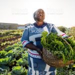 女性の権利向上がアフリカ農業に与える影響｜土地の権利と食糧生産の関係【Pick-Up! アフリカ Vol.6：2023年3月10日配信】