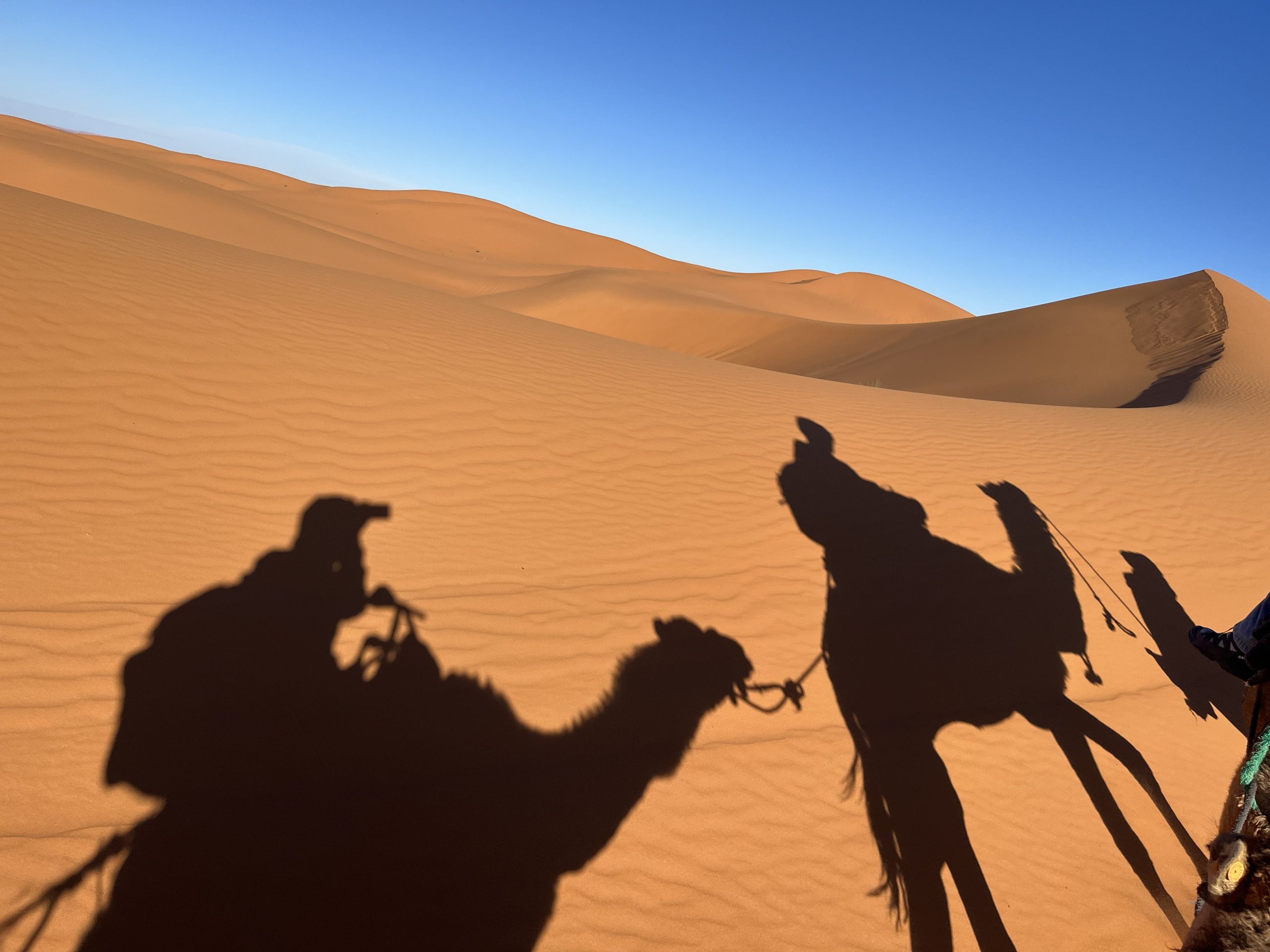 2025】モロッコ・2泊3日サハラ砂漠ツアー徹底レビュー②トドラ渓谷から