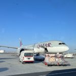 アフリカへの渡航で使う航空会社のレビューまとめ（Ethiopian Airlines、Qatar Airways、Singapore Airlines、Etihad Airways、Emirates）