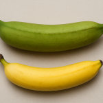 アフリカで主食としても食べられている、プランテン(Plantain)って何？バナナとの違いについもご紹介