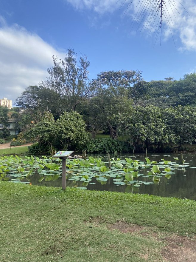 ダーバン植物園（Durban Botanical Garden）