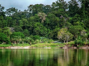 ガボンの自然環境