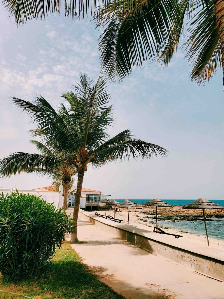 サル島のビーチ