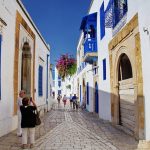 チュニジアってどんな国？どこにあるの？観光情報・人口・首都・国旗など一挙ご紹介！