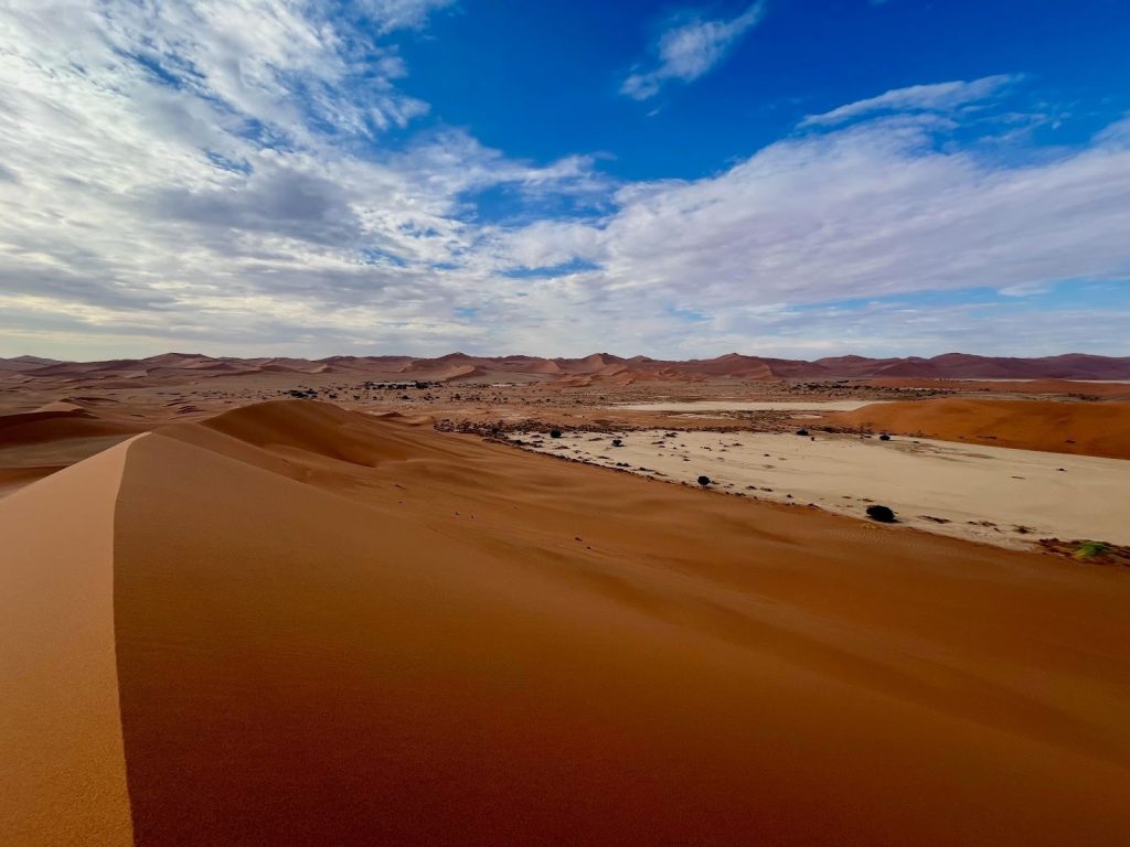 ナミブ砂漠の様子