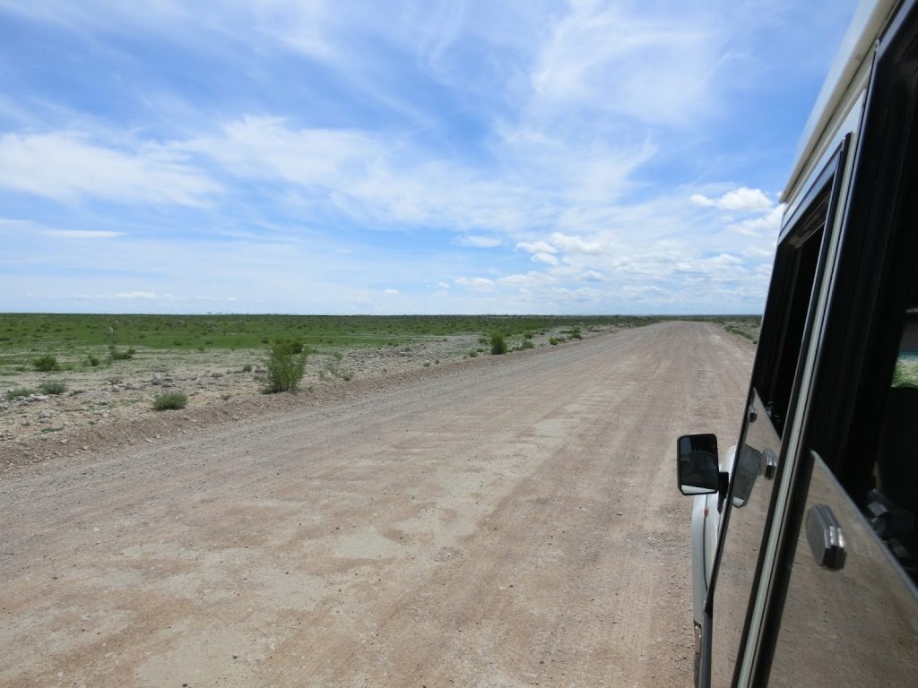 エトーシャ国立公園内の道路