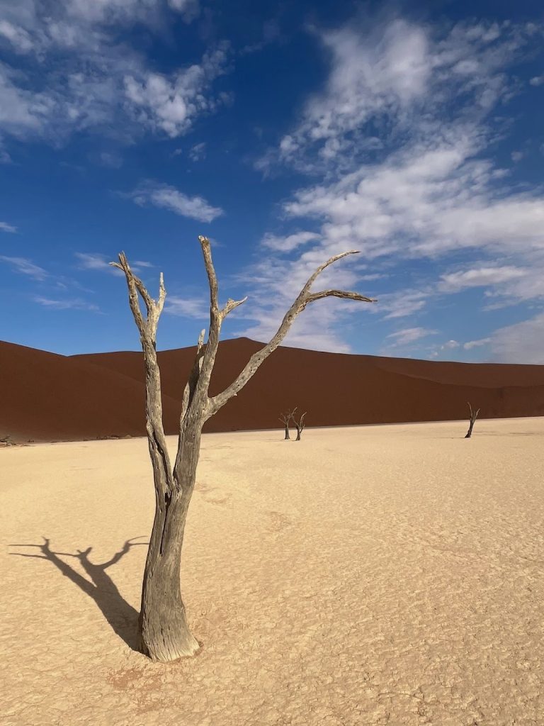 ナミビアのデッドフレイ