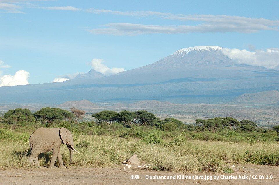 出典： Elephant and Kilimanjaro.jpg by Charles Asik CC BY 2.0