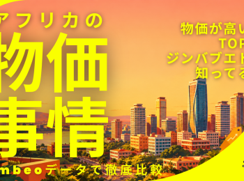 アフリカ物価#2