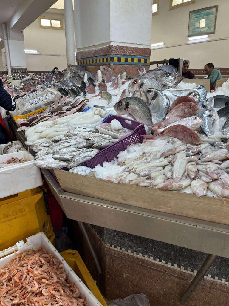 ラバトの魚市場